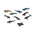 Learning resources Ocean animals