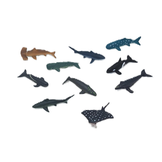 Learning resources Ocean animals