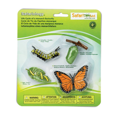 Safari Ltd. - Levenscyclus van een monarchvlinder