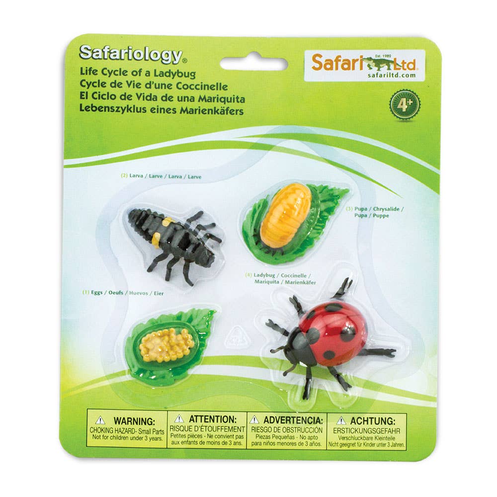 Safari Ltd. - Levenscyclus van een lieveheersbeestje