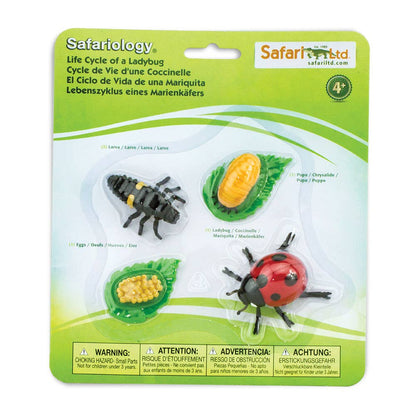 Safari Ltd. - Levenscyclus van een lieveheersbeestje